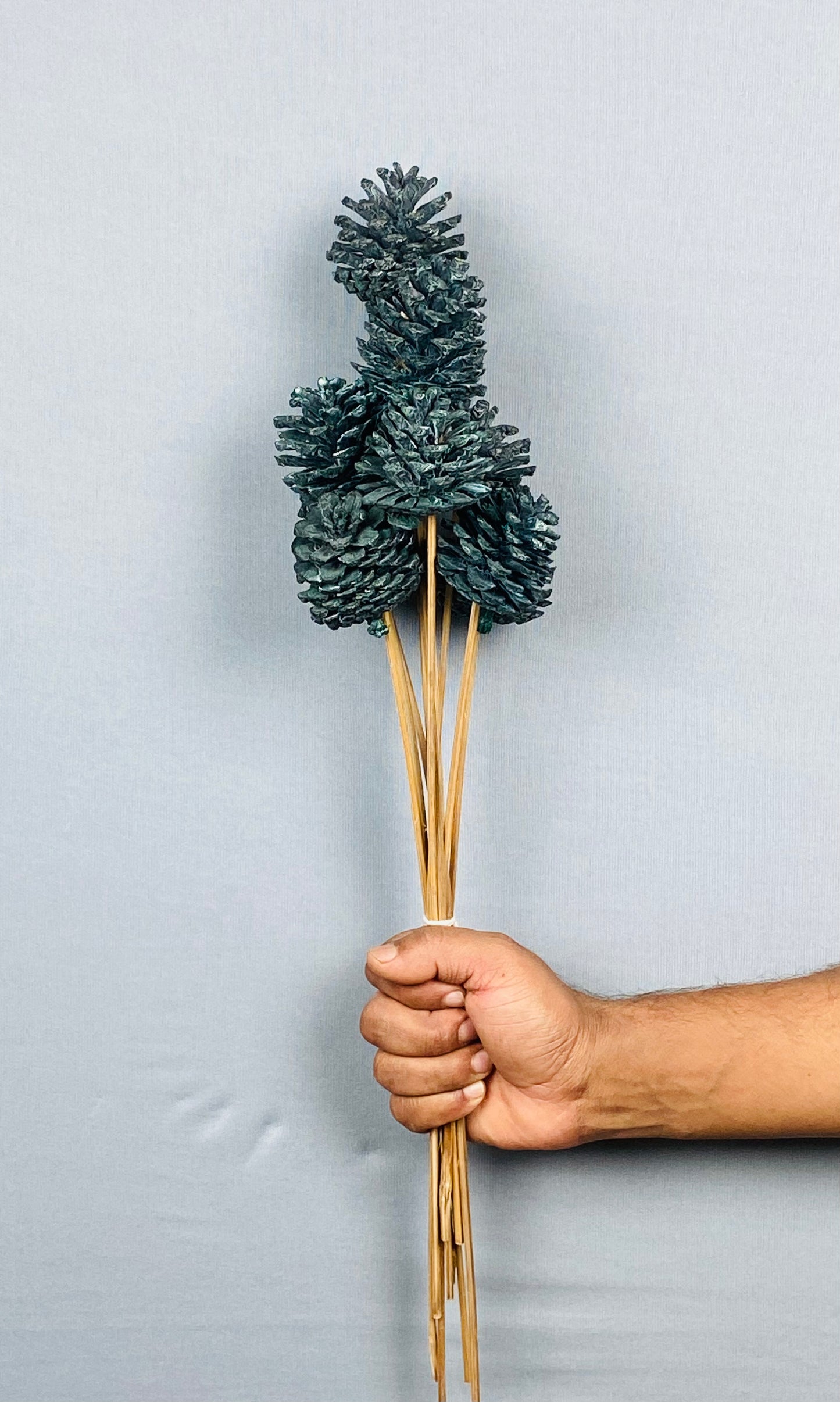 Pine Cone Stemmed Bunch (10 pieces) - Dark Green Frosted
