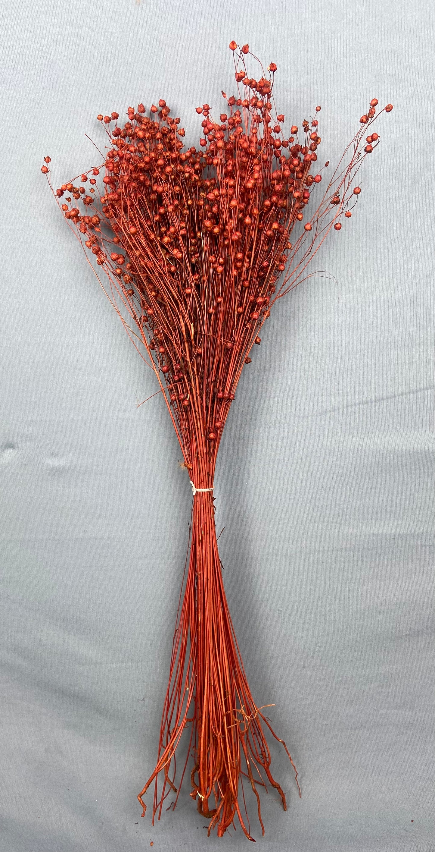 Lino Grass Bunch - Orange