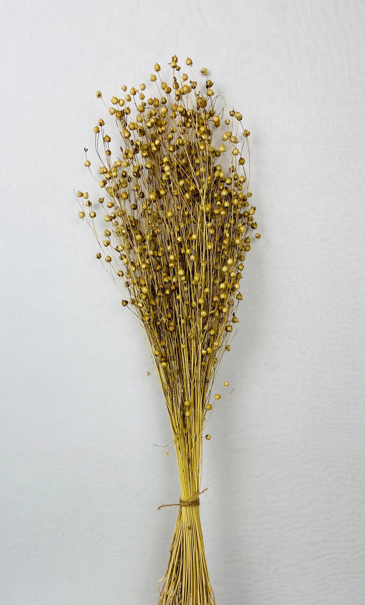 Lino Grass Bunch - Natural