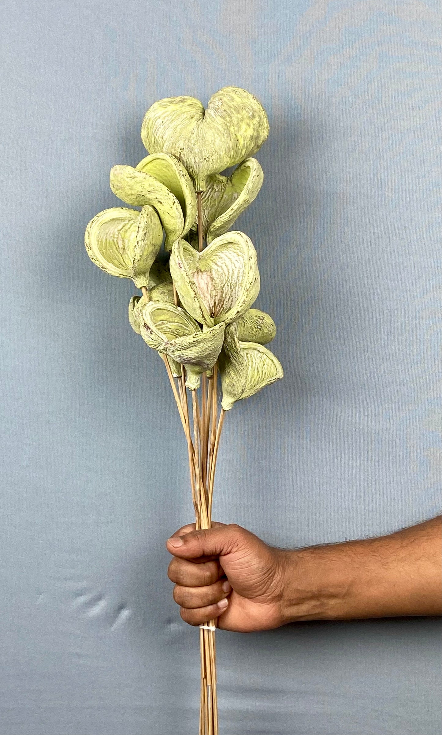 Badam Stemmed Bunch (10 pieces) - Apple Green Frosted