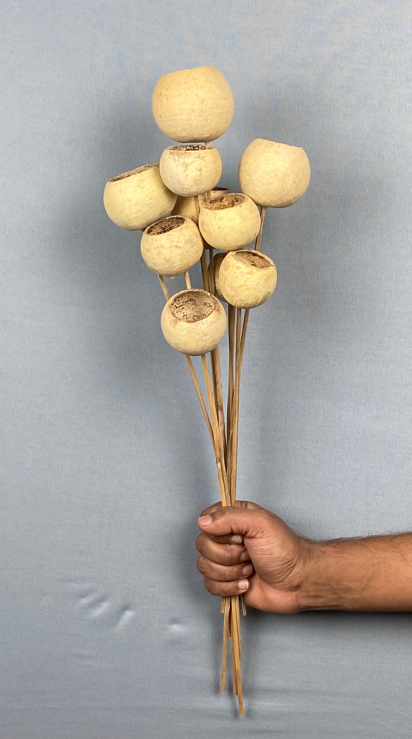 Bell Cup Stemmed Bunch (10 pieces) - Natural