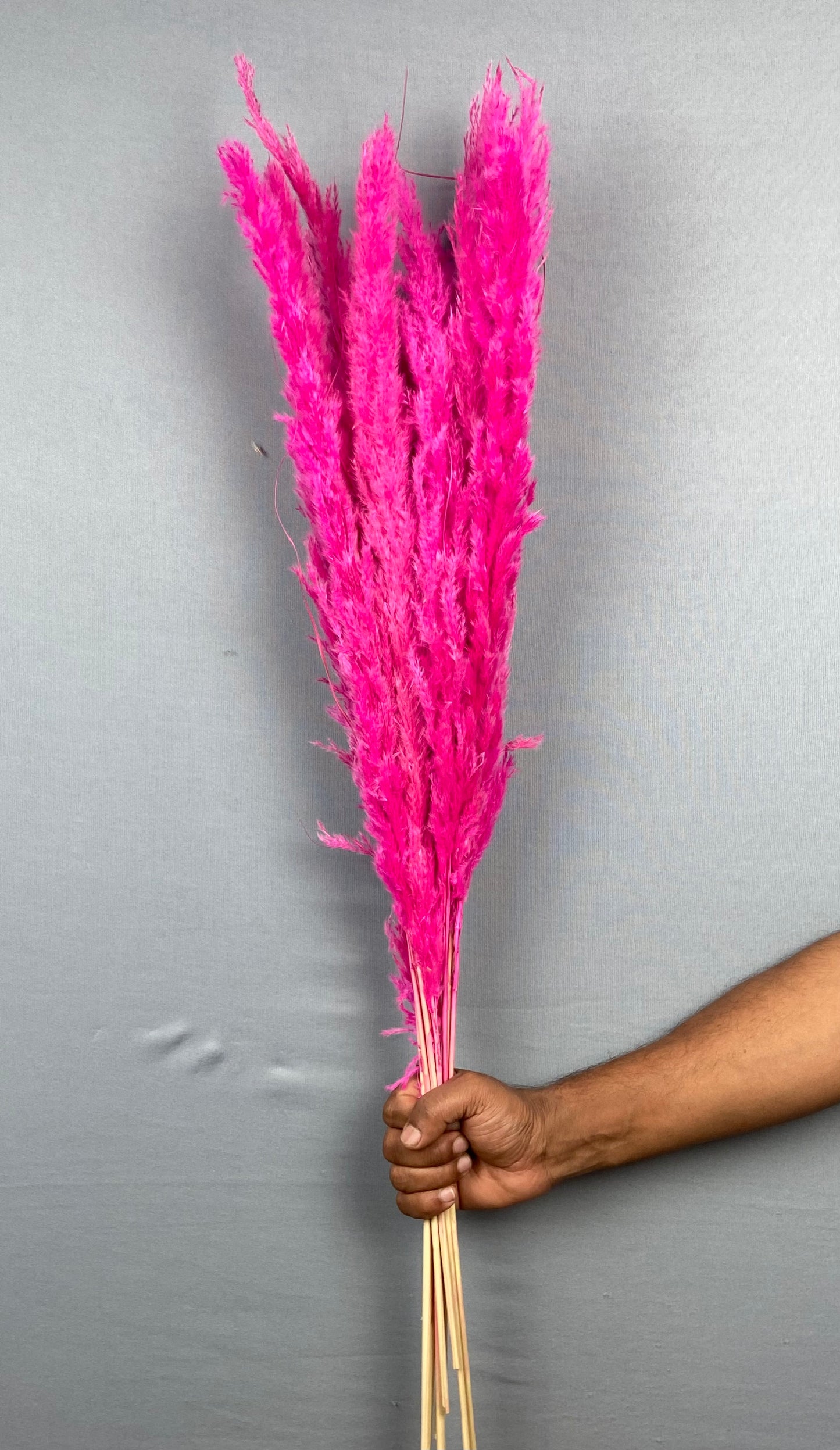 Pampas Grass (10 pieces) - Pink
