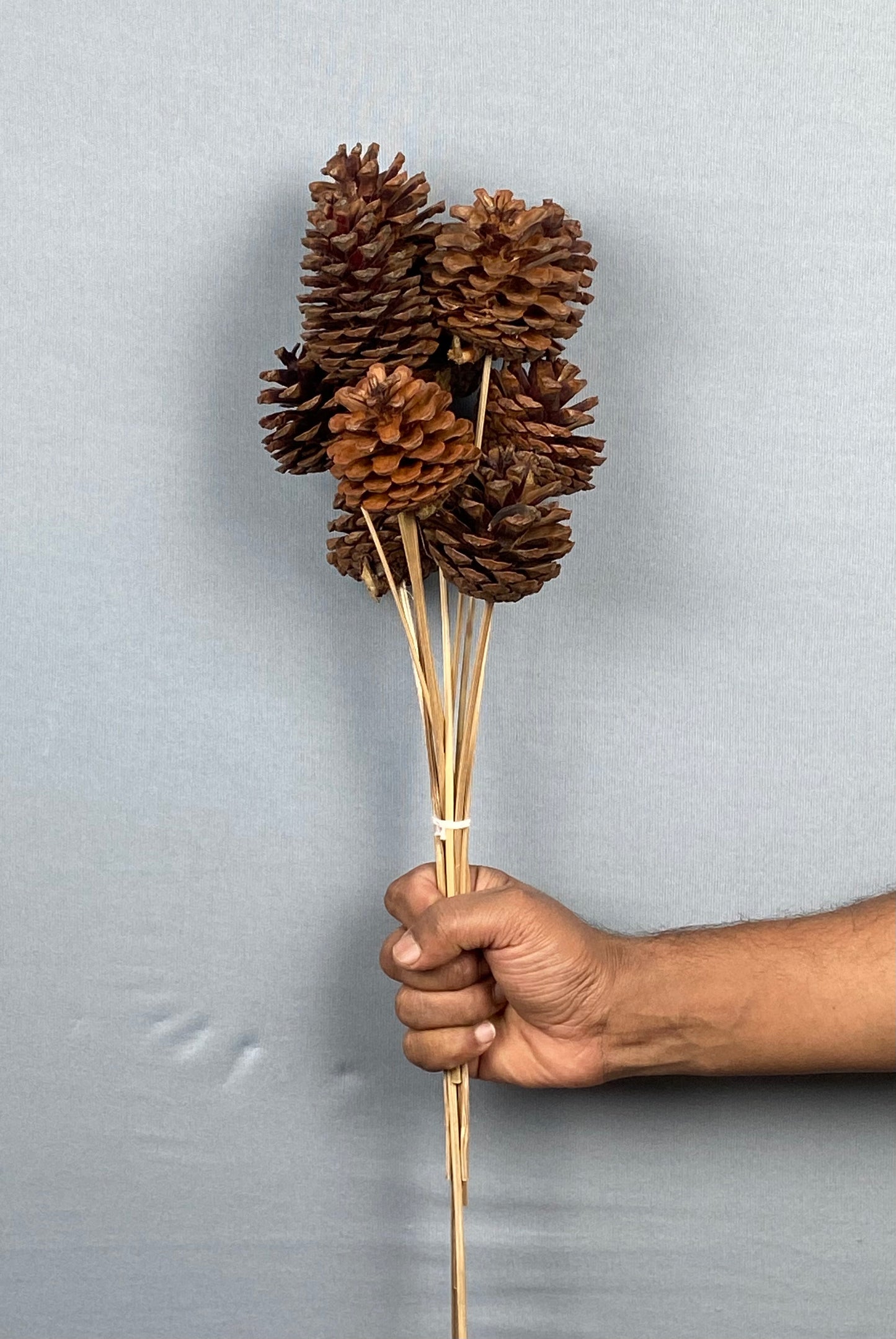 Pine Cone Stemmed Bunch (10 pieces) - Natural Brown