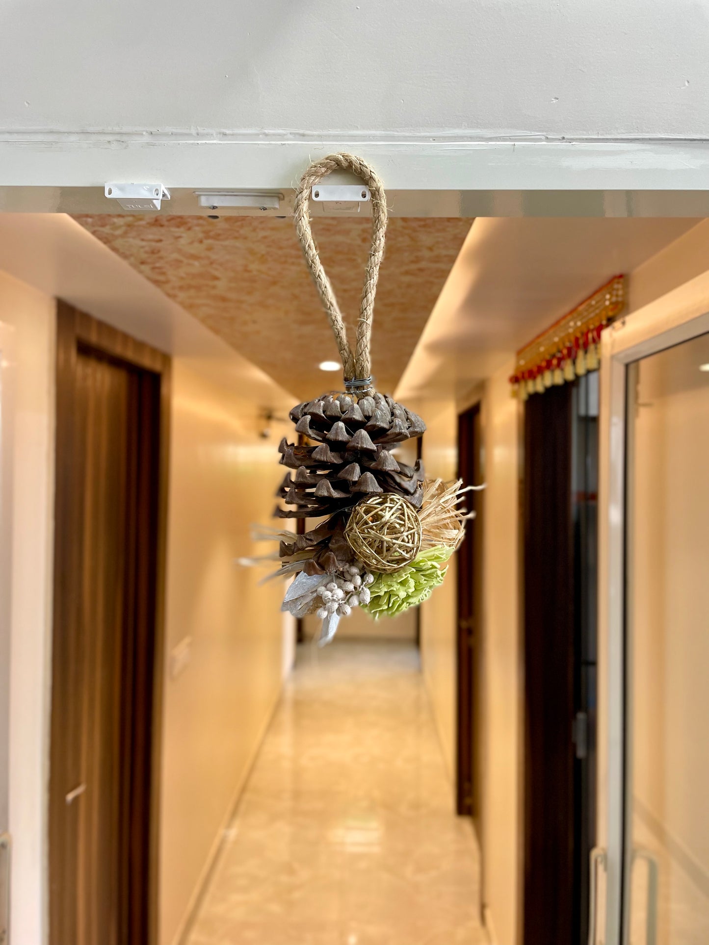 Natural Eurocone Hanging Decor