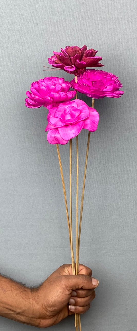 Sola Flower Stemmed Bunch (4 Pieces) - Rhodamine Red