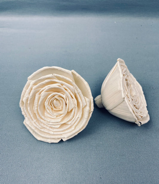Sola Garden Rose Flower (7 Pieces) - Natural White