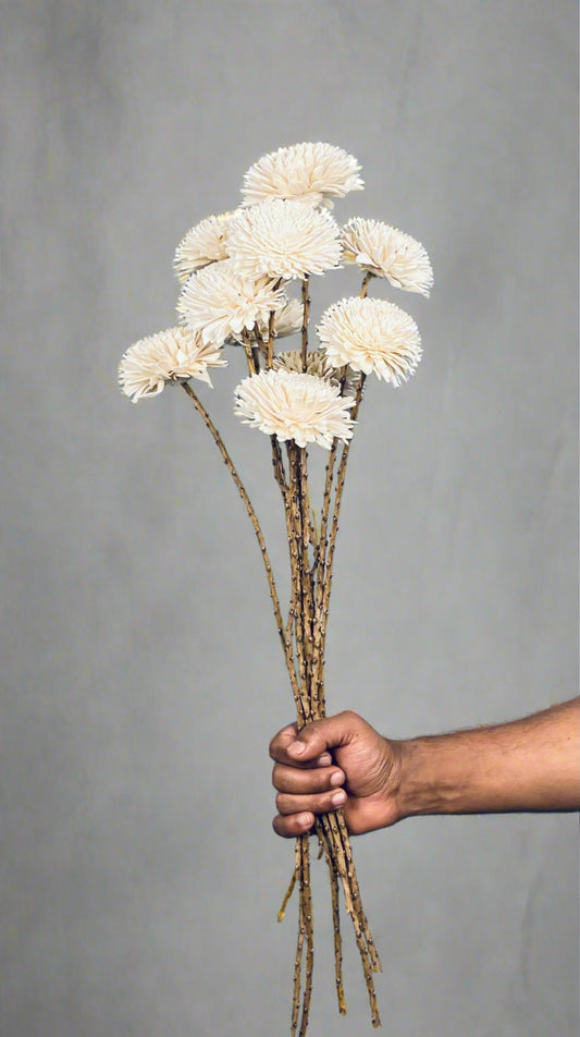 Sola Zinia Flower Stemmed Bunch (10 Pieces) - Natural White