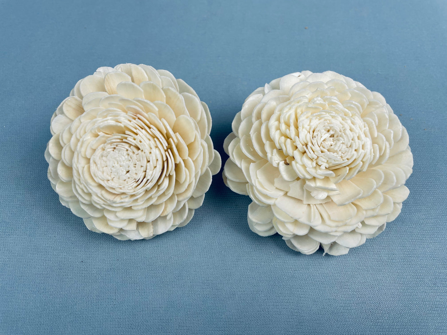 Sola Bela Flower (7 Pieces) - Natural White