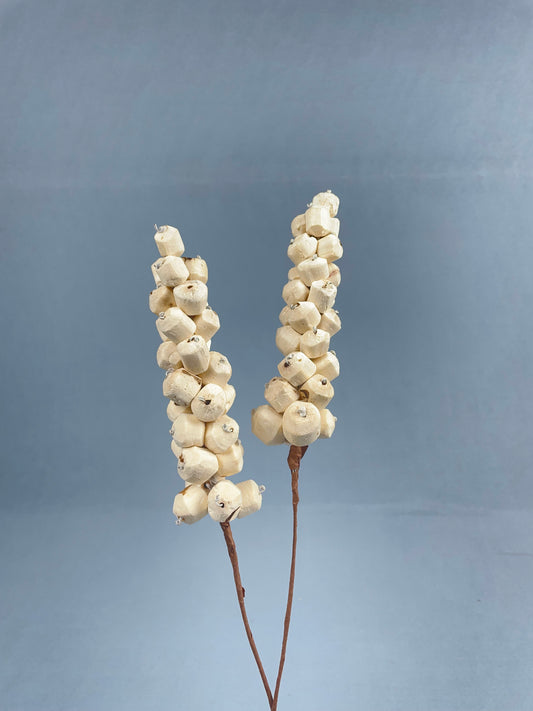 Sola Berries (5 Pieces) - Natural White
