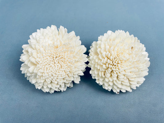 Sola Juhi Flower (7 Pieces) - Natural White